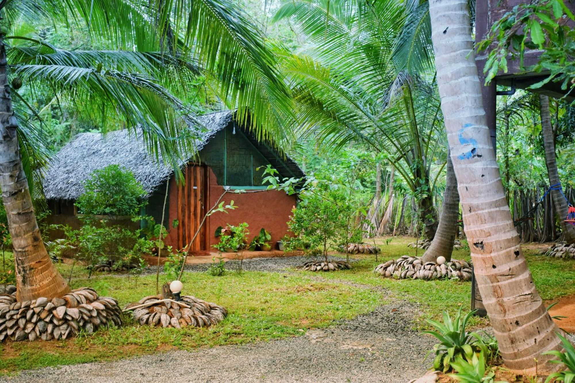Passion Ray Villa & Tree Hut Sigirija Zewnętrze zdjęcie
