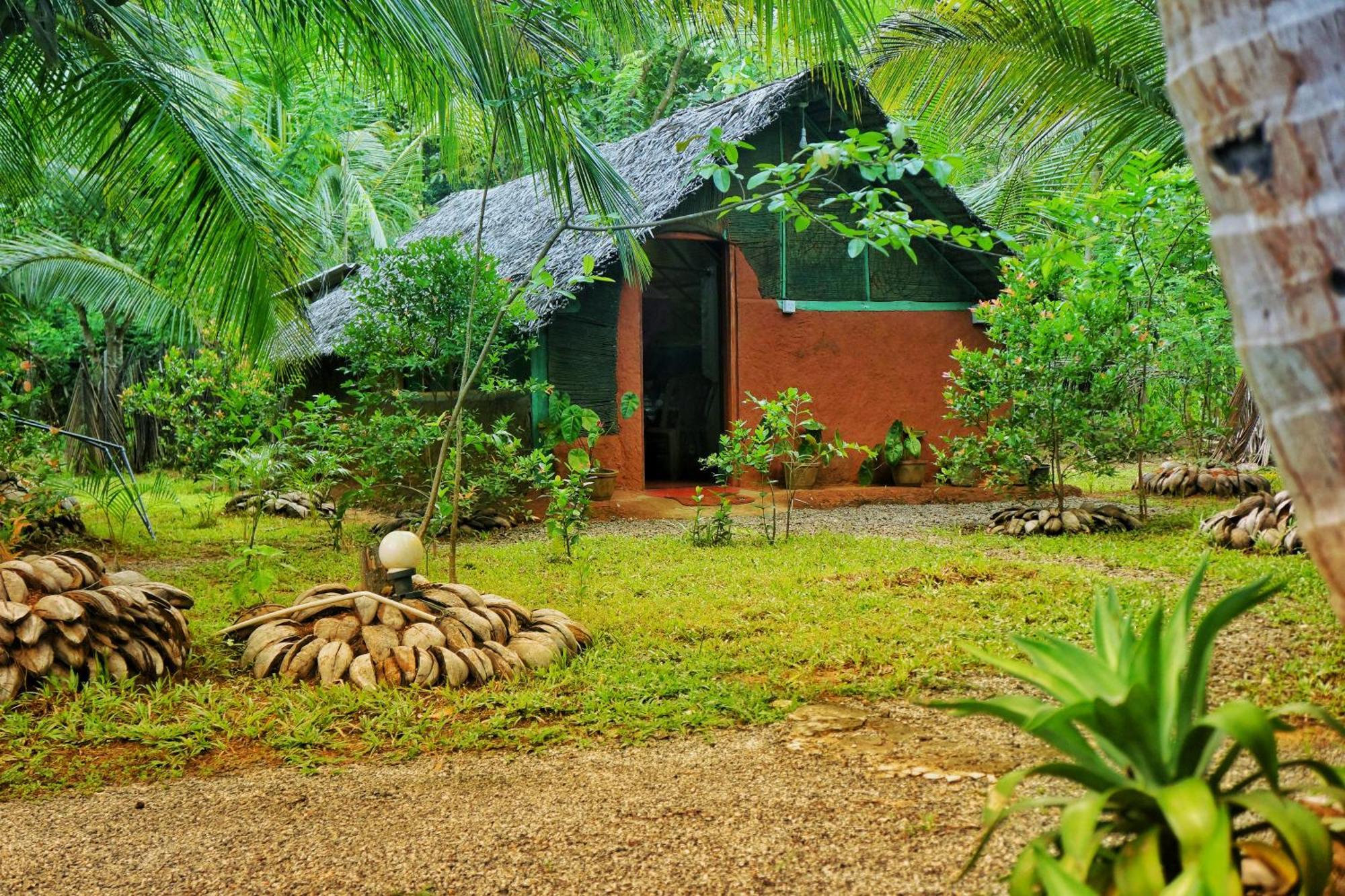 Passion Ray Villa & Tree Hut Sigirija Pokój zdjęcie