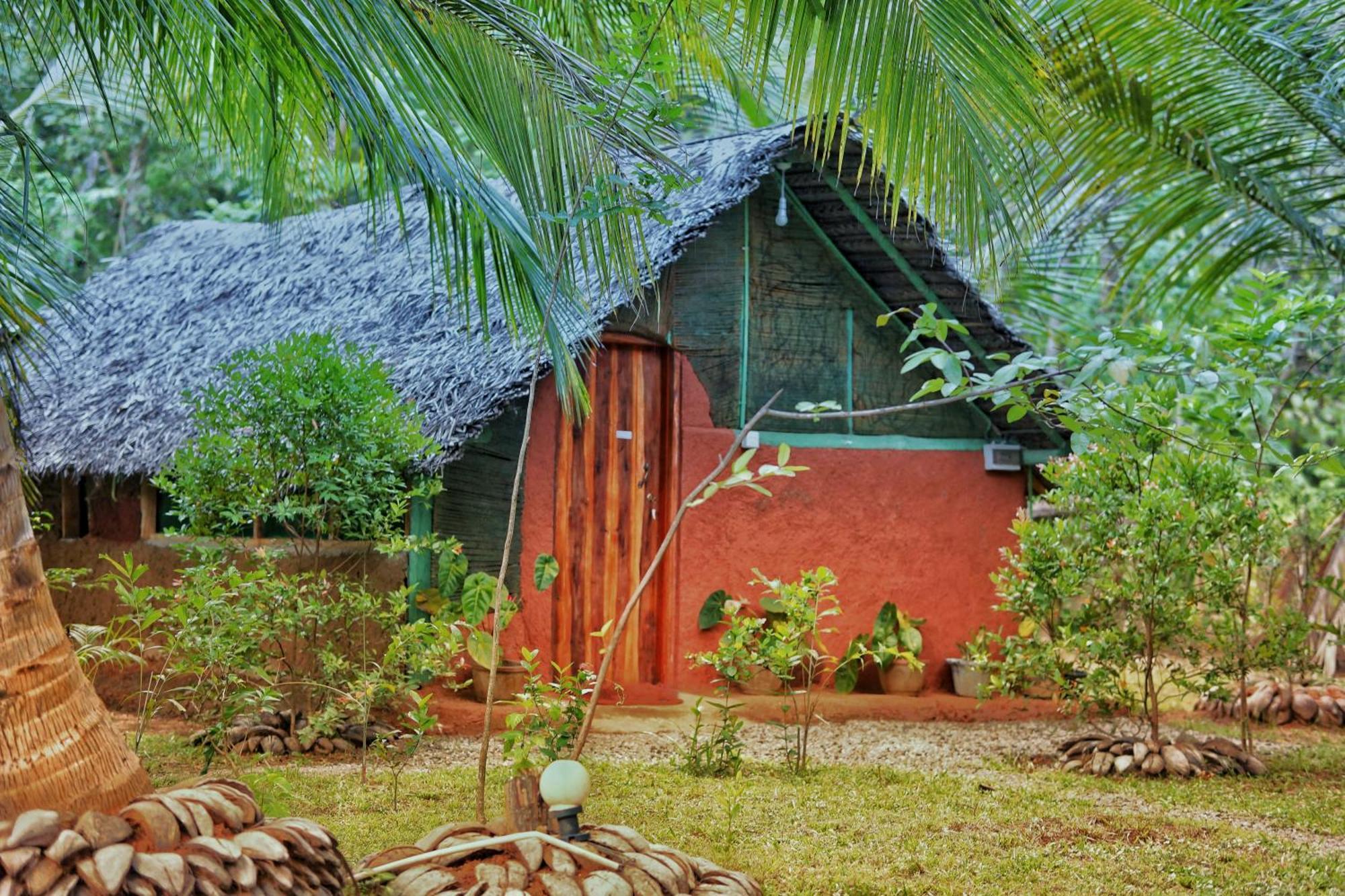 Passion Ray Villa & Tree Hut Sigirija Zewnętrze zdjęcie