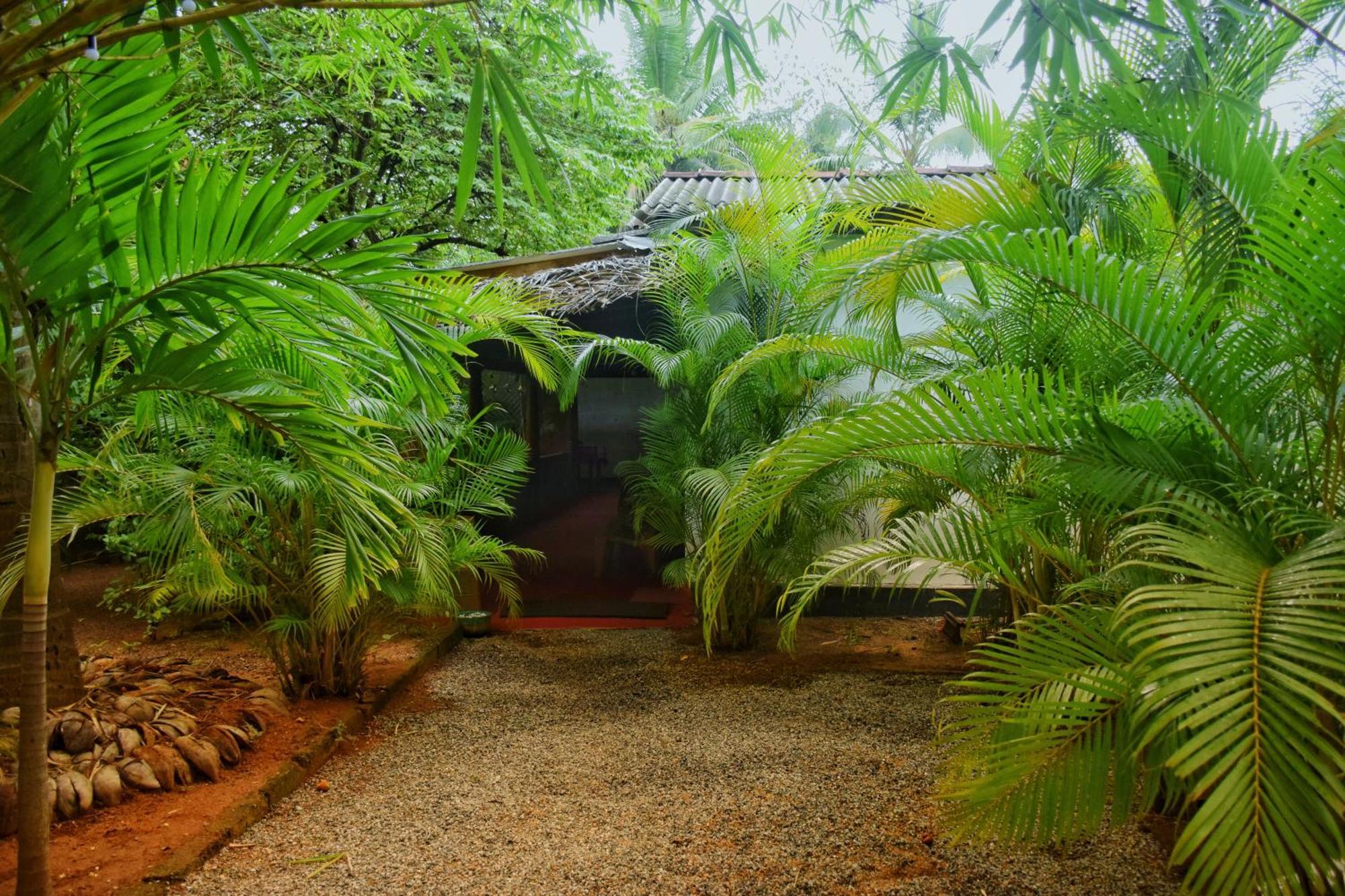 Passion Ray Villa & Tree Hut Sigirija Zewnętrze zdjęcie