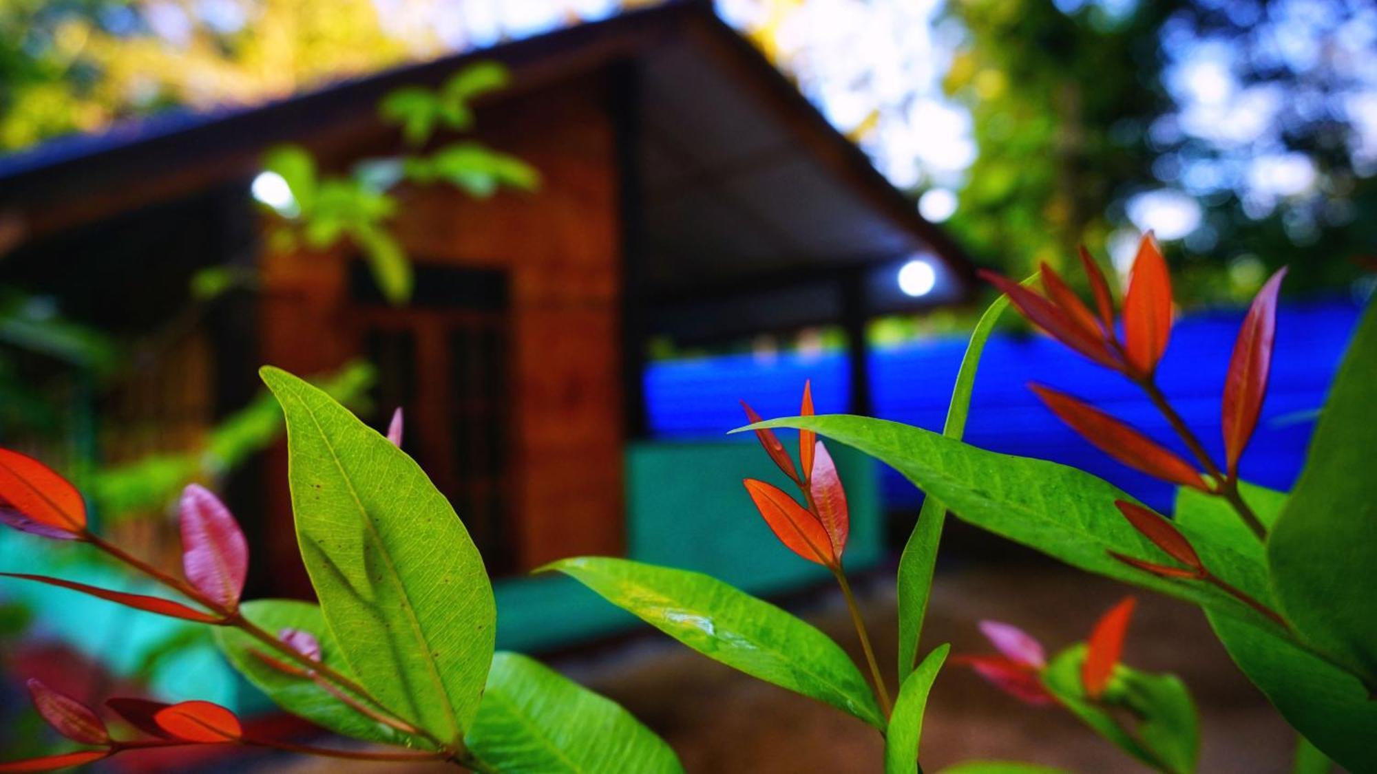 Passion Ray Villa & Tree Hut Sigirija Zewnętrze zdjęcie